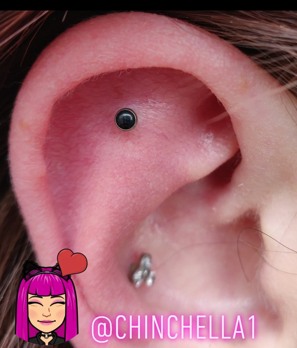 Chel (@Chinchella1) / Posts / X