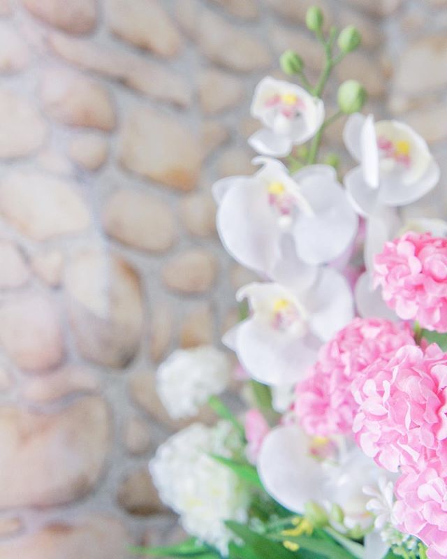 TheStylishNotes's tweet photo. Good morning 🕊 That time of the year has come. Wish you all a happy Ramadan Kareem. May the holy essence of this auspicious month remain in your heart and life 🌙
.
.
.
.
.
#ramadan #ramadankareem #flowers #flower #socialenvy #petal #petals #nature #beautiful #love #pretty #p… https://t.co/qWg8HdSQIA