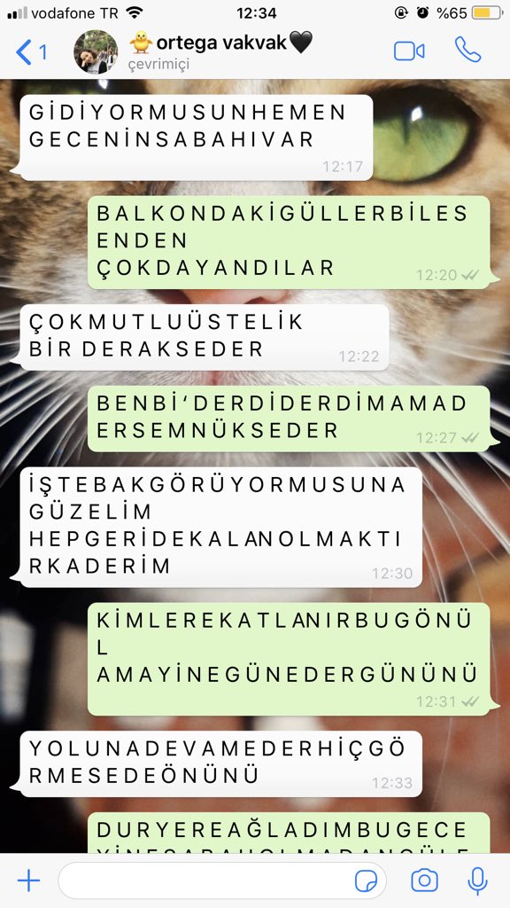 minikmerbus's tweet photo. biz benimsedik baya bu işi
@canbonomo #ruhumbela #bubenim https://t.co/8nd151Z8kC
