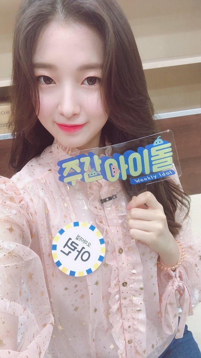 arin pics tweet media