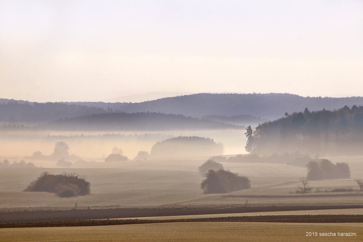 studio13rt's tweet photo. #Stimmung am #Morgen. #landscapephotography #landscape #photography https://t.co/RhiHzqvXAK