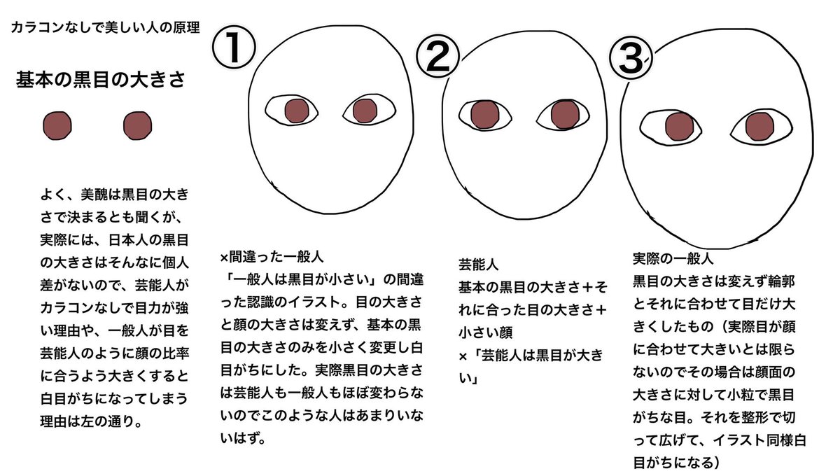 美醜は黒目の大きさで決まる話 的を得てると思うが 実際人の黒目の大きさにはあまり違いがない つまり 芸能人が目 黒目共に顔 の中で大きいってのはすごく小顔だから 一般人が整形で四白眼になるのは目や黒目の大きさが芸能人とそんなに変わらないのに