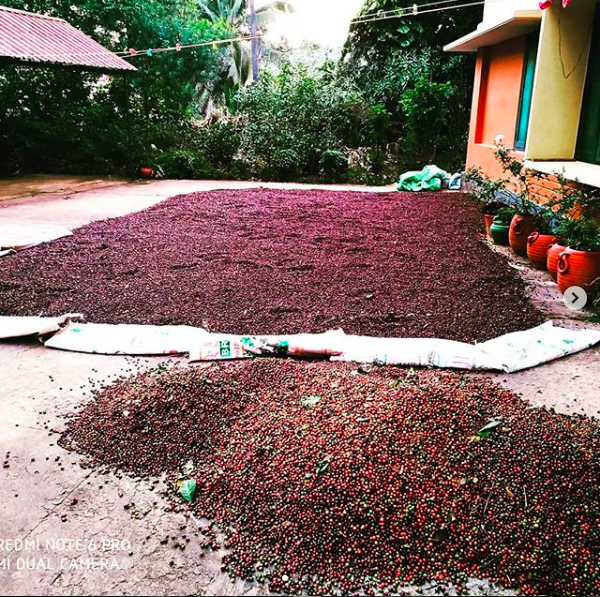 AAnubhava's tweet photo. What's life without some spice &amp; intoxication??? https://t.co/p1A5jBQvbo