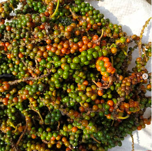 AAnubhava's tweet photo. What's life without some spice &amp; intoxication??? https://t.co/p1A5jBQvbo
