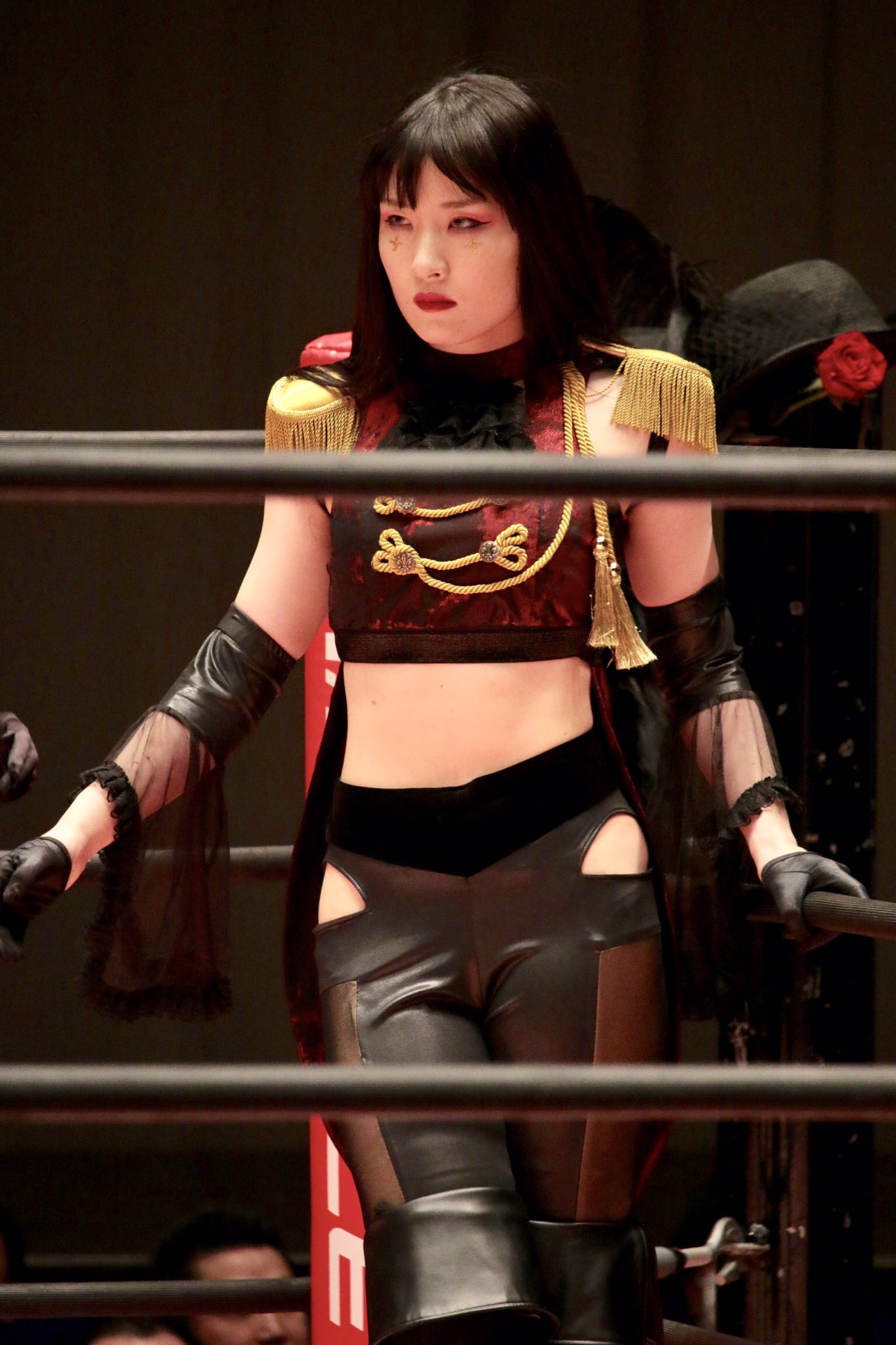 東京女子プロレス美威獅鬼軍メイサンアクスタ写真セット 東京女子プロレス美威獅鬼軍メイサンアクスタ写真セット 東京