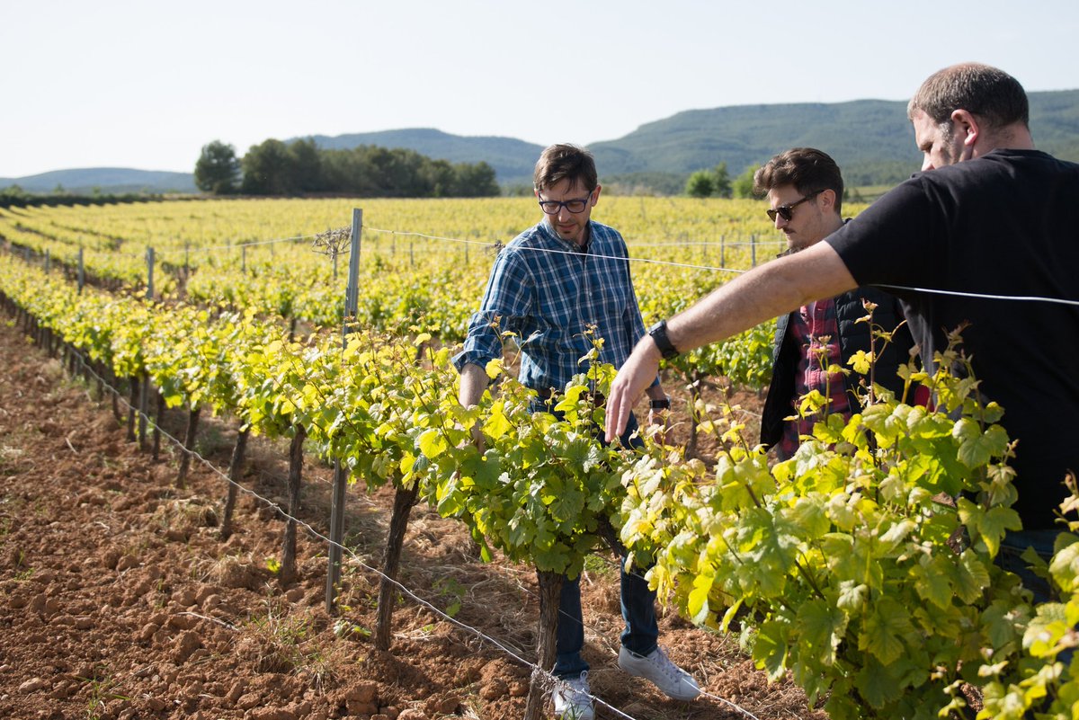 SentitsBCN's tweet photo. Entre amics neixen els projectes més interessants, @Aridvins és una mostra. Una aposta per buscar i oferir vins d'altura sense tancar-se a una zona geogràfica, només moguts per la inquietud de trobar vinyes interessants. #sentitsbarcelona #vinsipersones #vicatala #aridvins https://t.co/C2z7EktBC0