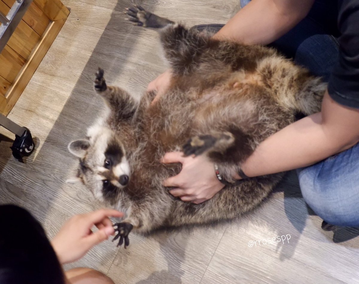 ♡ โรสมินิรีวิว🌻 tweet media