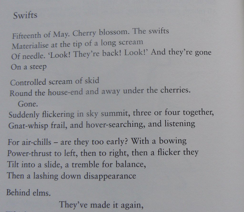 Patrick Limb On Twitter An Extract From Swifts By Ted Hughes In A Faber Faber Edition Called His Collected Poems For Children Https T Co Rtlephwphv