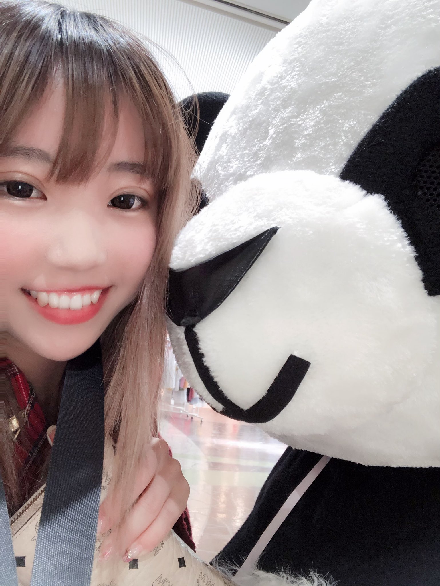 菅野真由 夢幻のシナリオ No Twitter 前髪エムジバンク卍 イオンモールにさなと身長同じくらいのパンダさん居た 飴も貰ったよ 菅野真由 夢幻のシナリオ No Twitter 前髪エムジバンク卍 イオンモールにさなと身長同じくらいのパンダさん居た 飴も貰ったよ