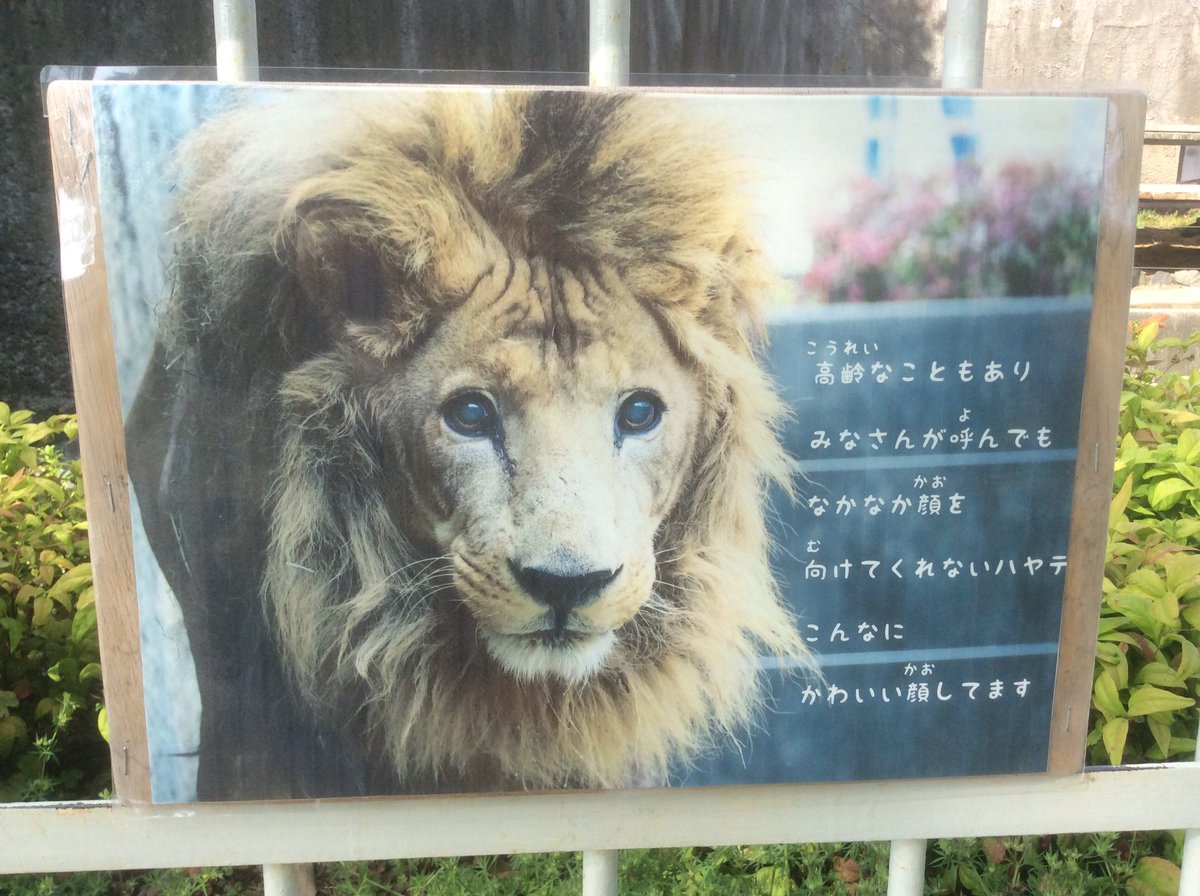 無料印刷可能旦那 可愛いと言ってくれなくなった 最高の動物画像 無料印刷可能旦那 可愛いと言ってくれなくなった 最高の動物画像