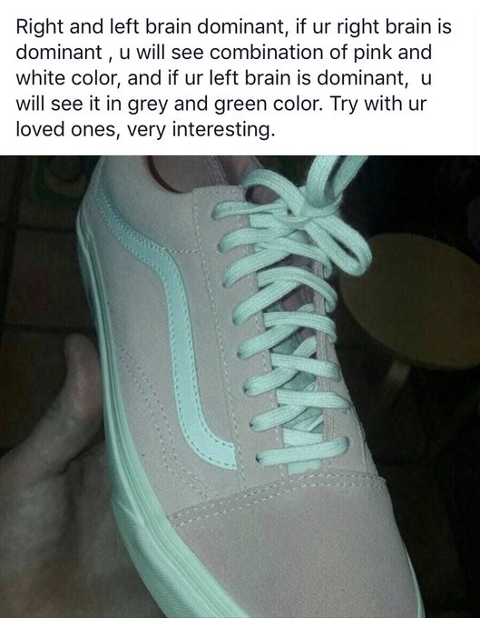 Rosa y blanco o gris y verde? ¿De qué color ves esta zapatilla?