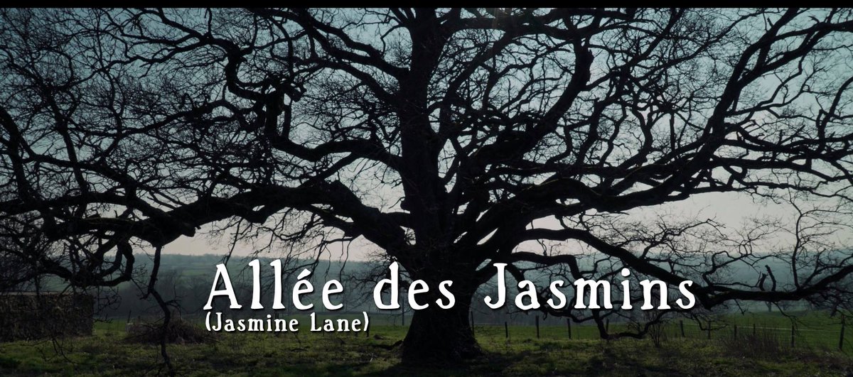 TuesCollectif's tweet photo. Allée des Jasmins de notre membre @stephanelycuong a obtenu le prix du jury au @USAFilmFestival ainsi qu'au Festival Première Marche de Troyes. https://t.co/Z3xgjmXYoZ
