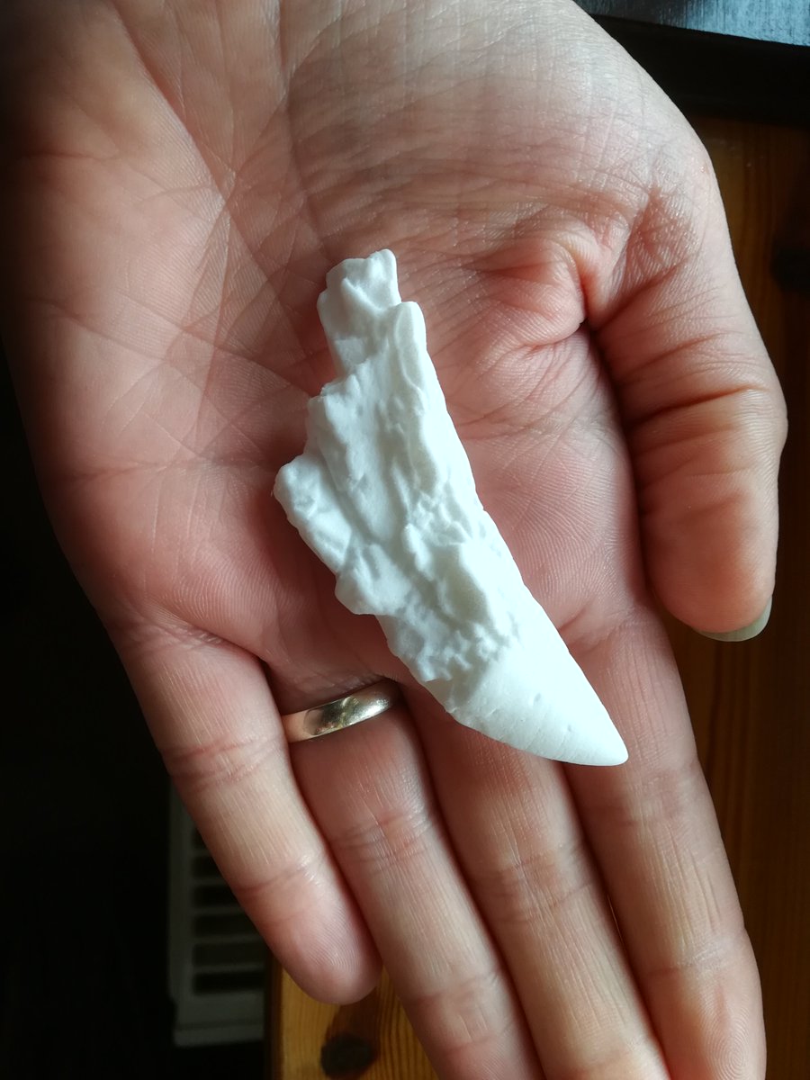 gsciencelady's tweet photo. Nice new #dinosaur teeth from #IsleofSkye published today, including a big one @davfof found when he and I were scouting the coast together. I'll be taking the 3D print of it into schools for the #ScottishFossilWorkshops this week! Congrats to the authors! https://t.co/nRVGJvoibH https://t.co/pWRbdgRvc1