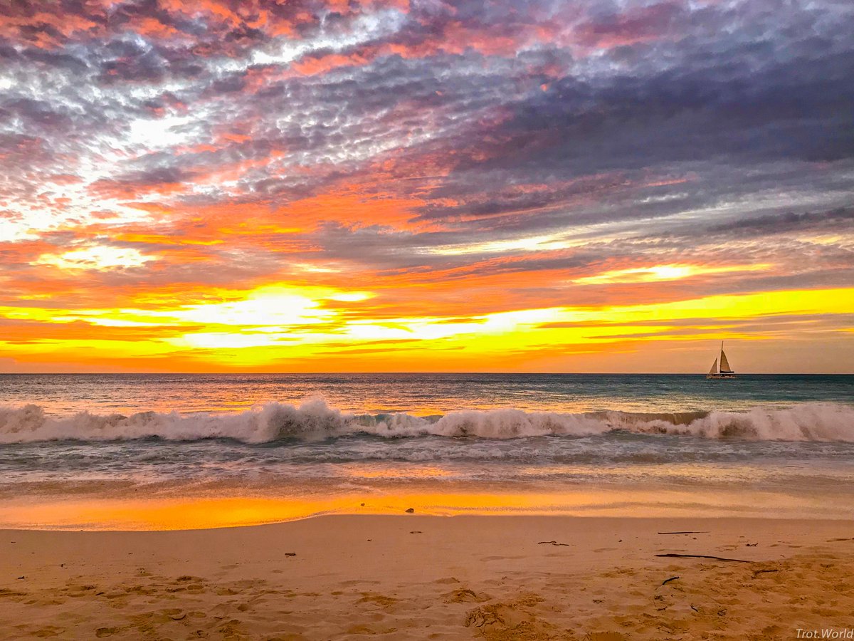 trotdotworld's tweet photo. And a few more island shots during this magic hour โ๏ธ Nothing like a walk on the #beach during the #sunset hour #trotwithus #SundaySunsets @always5star @RoarLoudTravel @Touchse @LiveaMemory @_sundaysunsets_ @aruba #travelphotography #shotoniphone @Apple #iPhonephotography #ttot https://t.co/QdkIZjLsWE