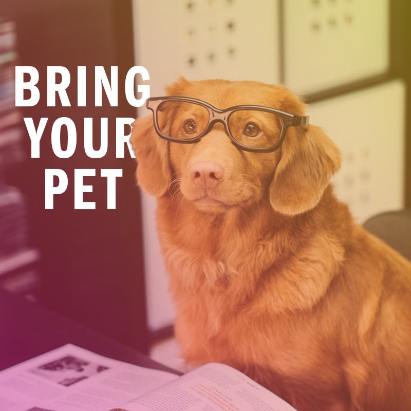 deskworks (@desk_works) on Twitter photo 