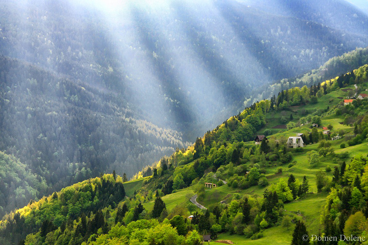 travel_slovenia's tweet photo. After a harsh, cold winter, #spring is such a #beautiful and welcome time of year in #Slovenia and we just love that fresh #green color of new leaves and the irresistible and unmistakable smell of spring in the air. (Images by @DomenDolenc #photography) #nature #Travel https://t.co/5oqPj2cuwN