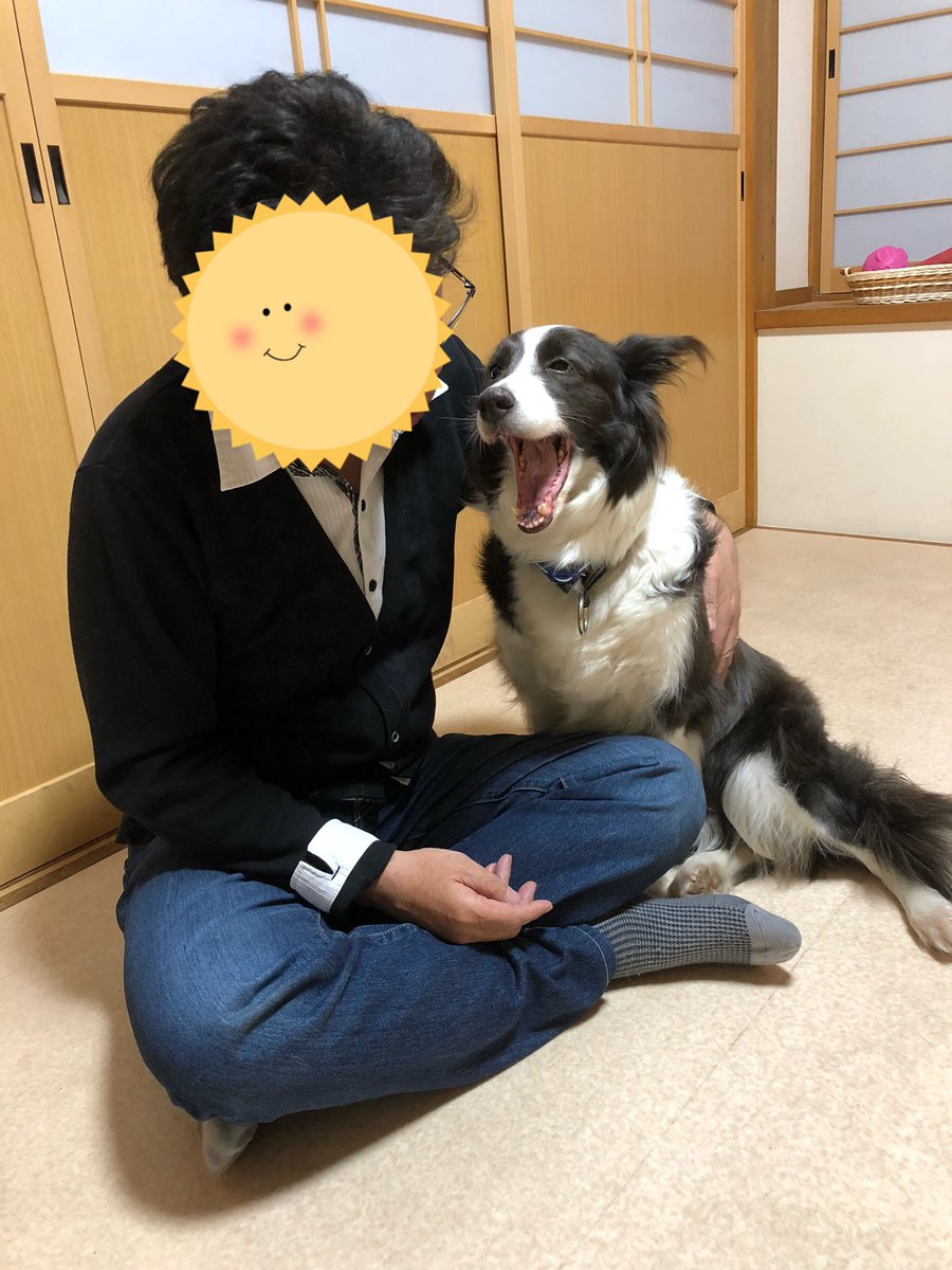 1963moko's tweet photo. 2週間のトライアルが終わり、正式に飼う事になりました。
ジンジャー、7歳の女の子です。よろしくお願いします(^-^)/ちょっと臆病ですが、お散歩は大好きです。色々な経験をさせてあげたいと思います😊 https://t.co/fXPt2YkbNa