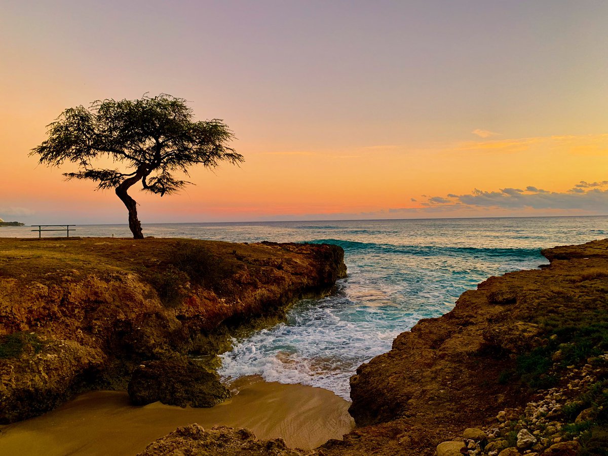 RoadtripC's tweet photo. A bit late with our #SundaySunsets - It’s #Hawaii time. Found this gorgeous spot on west side of #Oahu and loved the picturesque setting. #Travel #Travels. 

#SundaySunsets #Travel @RoarLoudTravel @Touchse @LiveaMemory @always5star @_sundaysunsets_ https://t.co/pW7e8kMn0V