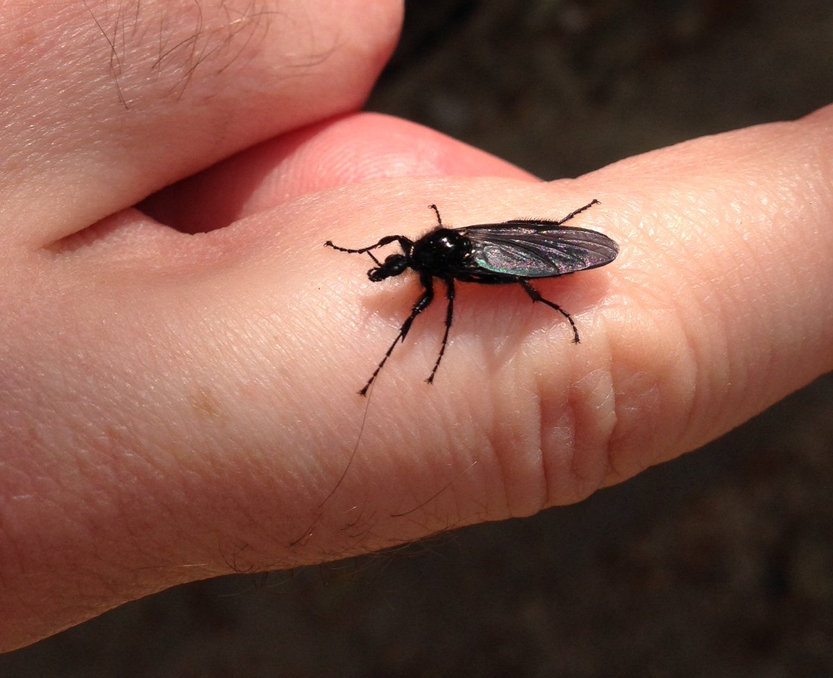 Dylan Hodgkiss tweet media