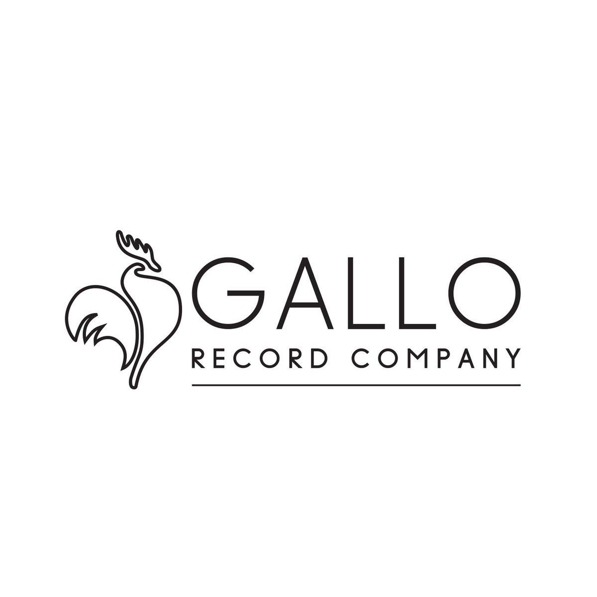 therealnocy_jay's tweet photo. Happy to announce that I will be releasing my music with @gallomusicsa #MusicLoading https://t.co/GeDv8DPPBN