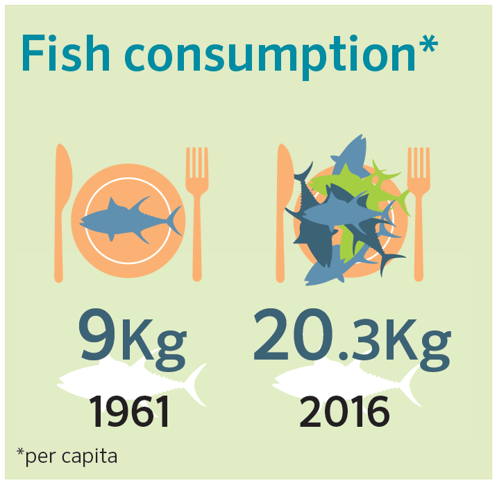 El consumo de pescado ha aumentado mucho en las últimas décadas. Así lo refleja el informe de la FAO ‘Estado de la Pesca y la Acuicultura’ 2018.
👉 bit.ly/2JjVlr9

La #FAO trabaja con los estados miembros y otros socios para asegurar una #pesca y #acuicultura sostenibles