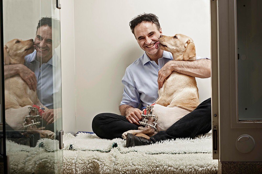 ProfNoelFitz's tweet image. Celebrating 5 years of making The #Supervet - the window onto our world at Fitzpatricks. Thank you for sharing the highs and lows of our life with the animals that matter so much to us. You can enjoy five of the most popular episodes on More4 this afternoon x
