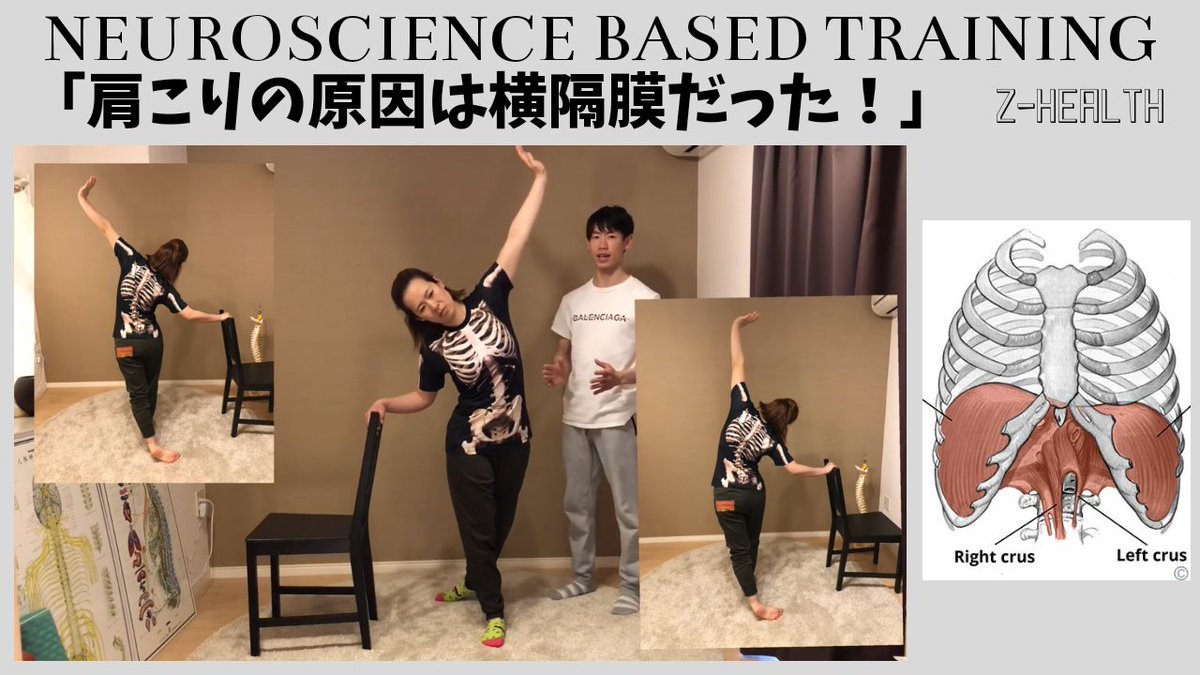 BodyDiscovery's tweet photo. 「肩こり」シリーズ第二段。
ヘッド帯(内蔵からの関連痛)を考えると、肩は横隔膜周辺と神経を共有している事がわかります。
呼吸のエクササイズで「だる~い」肩が楽になるかもしれませんよ!!
#肩こり #エクササイズ #呼吸 #ゼットヘルス #ZHEALTH
https://t.co/ogsYjFRzeJ https://t.co/V5MpIuM0Nt