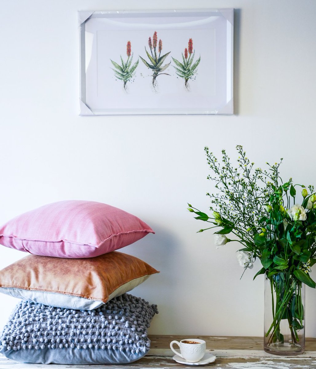 CavendishCT's tweet photo. Curate a cosy space for yourself this season, with luxurious homeware ranges from @MrPriceHome 
#MrPriceHome #HomeDecor #ThePerfectExcuse https://t.co/bElvn3Zdp7