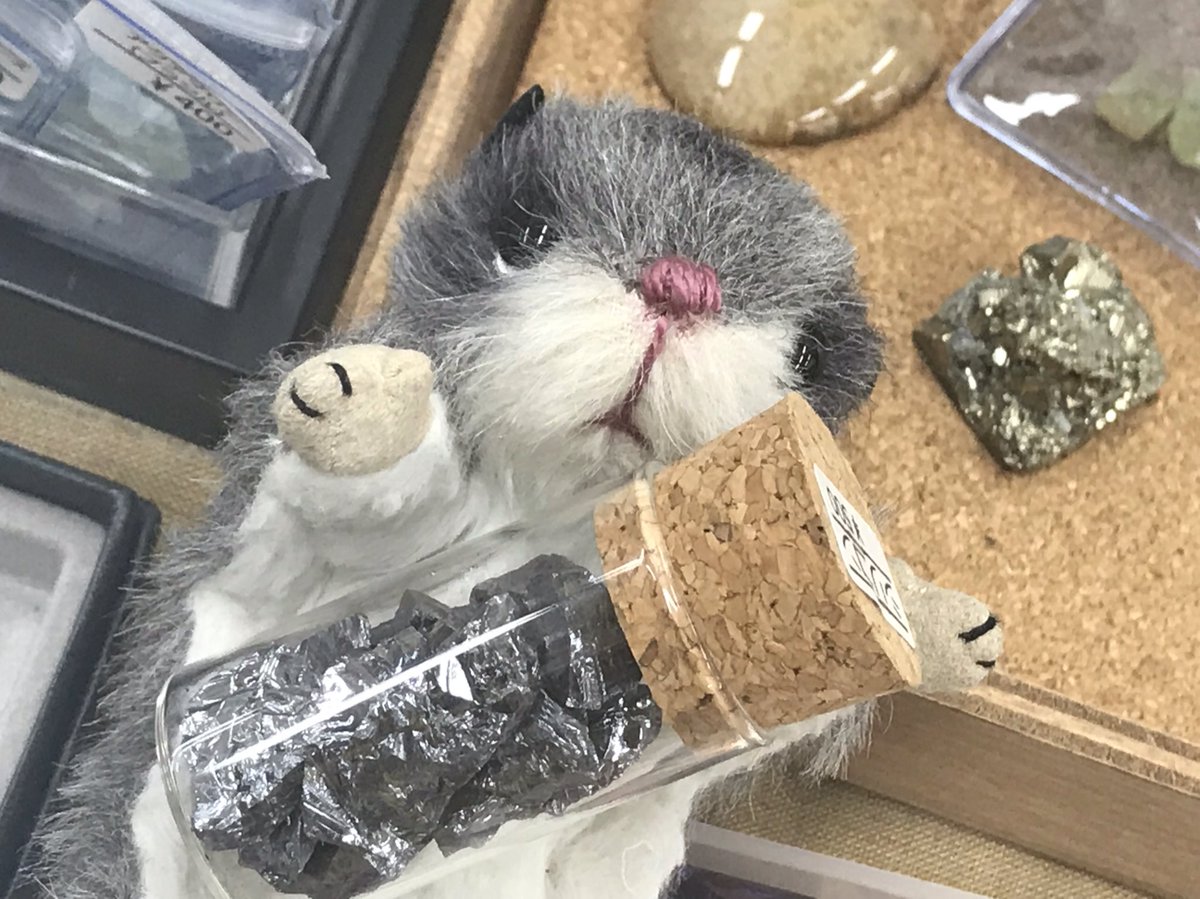craftoreo's tweet photo. Crazystone(@crazy__stone )さんの��ころで撮らせてもらったモモン♡
#モモンガ
#ぬい撮り https://t.co/qC3TCPlxXu