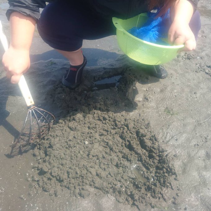 21 木更津海岸で潮干狩り 口コミは 駐車場やアクセス情報 Omoshiro Factory お出かけ情報 ドラマ エンタメ系サイト