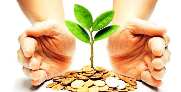 Make money whilst you still can😊. Become an investor, and this is how you can become a YouFarm investor:
1) Go to youfarm.co.zw
2) Click on 'become an investor'
3) Put your details and send.