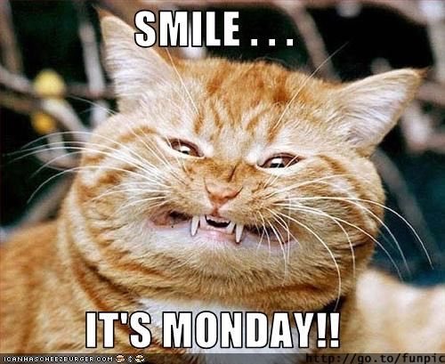 createdizeyen's tweet photo. Start every Monday with a smile (even if it’s fake and full of fangs) to set the stage for a positive week, month and year. A smile is contagious, pass it on.
—
#Monday #Smile #GoodVibes #Kitty #FakeItTillYouMakeIt https://t.co/BFzSYs0Wan