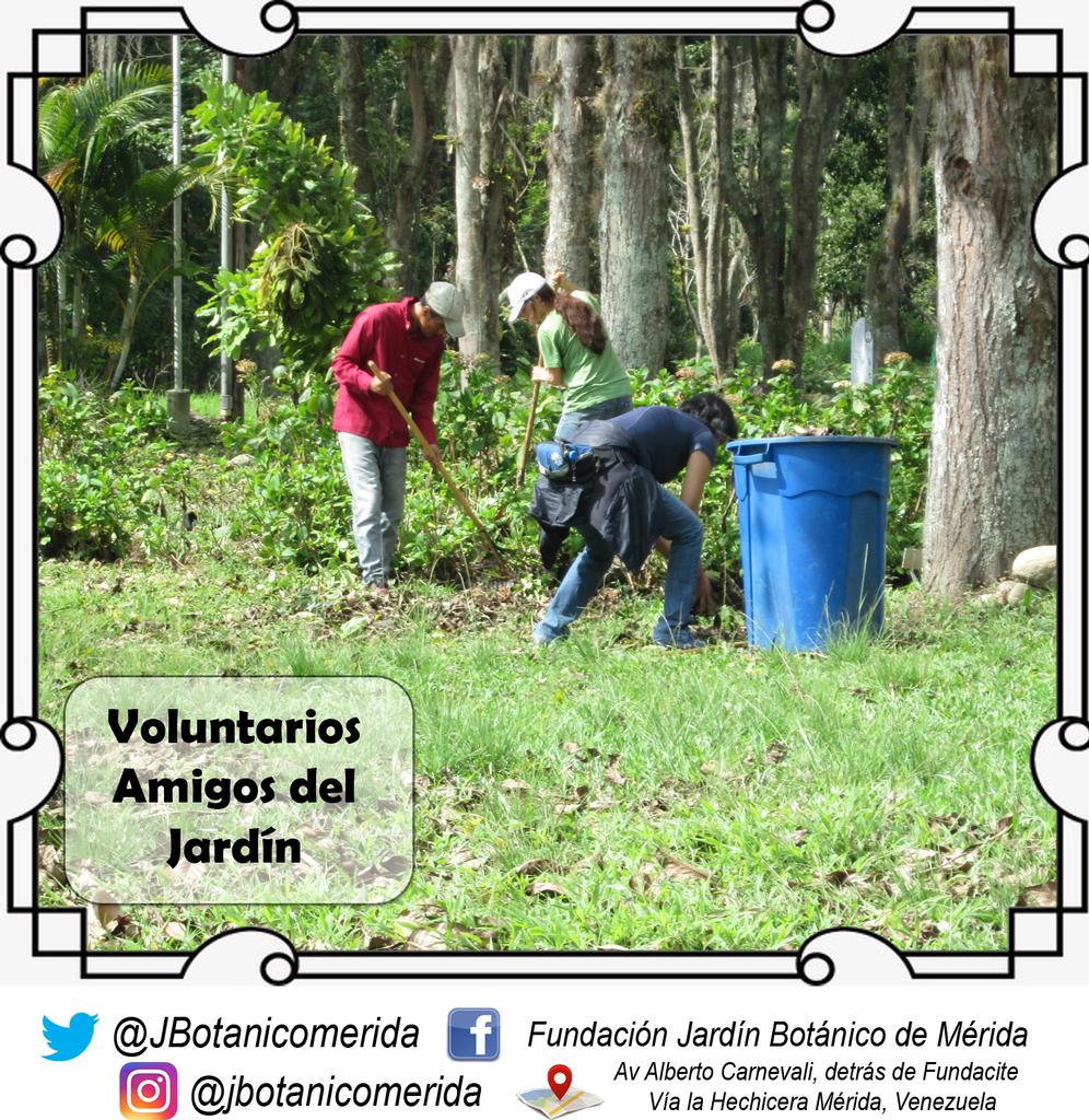 #6May Acercate todos los lunes al Jardín Botánico de Mérida y únete al grupo de Amigos Voluntarios del Jardín 💪 donde todos juntos le damos un cariño a nuestro bello espacio verde 

.
.
.
.
▶