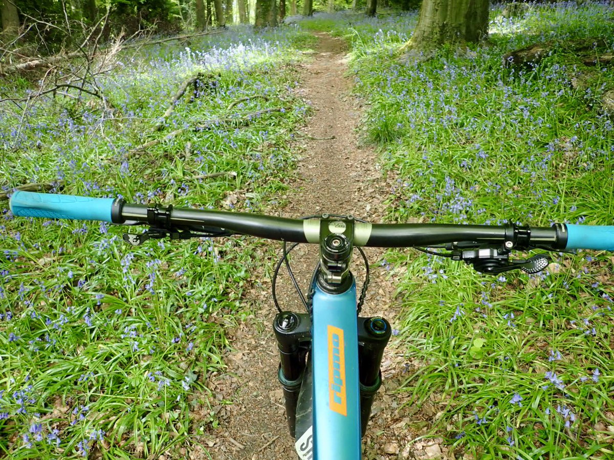 P_HEDGEHOG's tweet photo. Life behind bars #penyard #mtb https://t.co/WURvv7n5eW