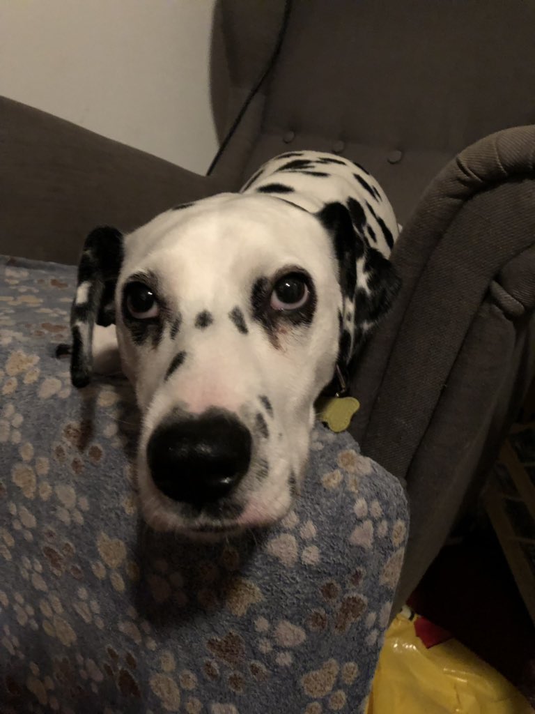 Krawattentrucker tweet media