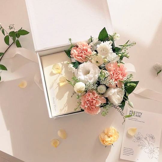 Nll3_'s tweet photo. ㅤ↴ ✿ ءٌ ⸀ 

ارأيت اُغنية في صيغة إنسان ؟ 
او وطناً في ضِحكة ثغر ؟ 
ارأيت الكون في خد ؟ 
او أجنحة تسكنُ في عِطر ؟ 

ㅤㅤㅤㅤ https://t.co/siE1xBWhEV