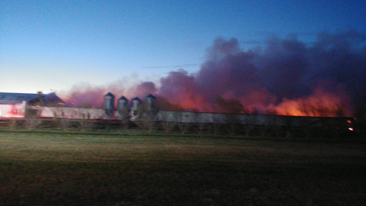 ctvwinnipeg's tweet photo. #Blumenort, #Manitoba chicken barn fire killed 27,000 birds, https://t.co/q59ANnV00Z https://t.co/mpK9hvj3et
