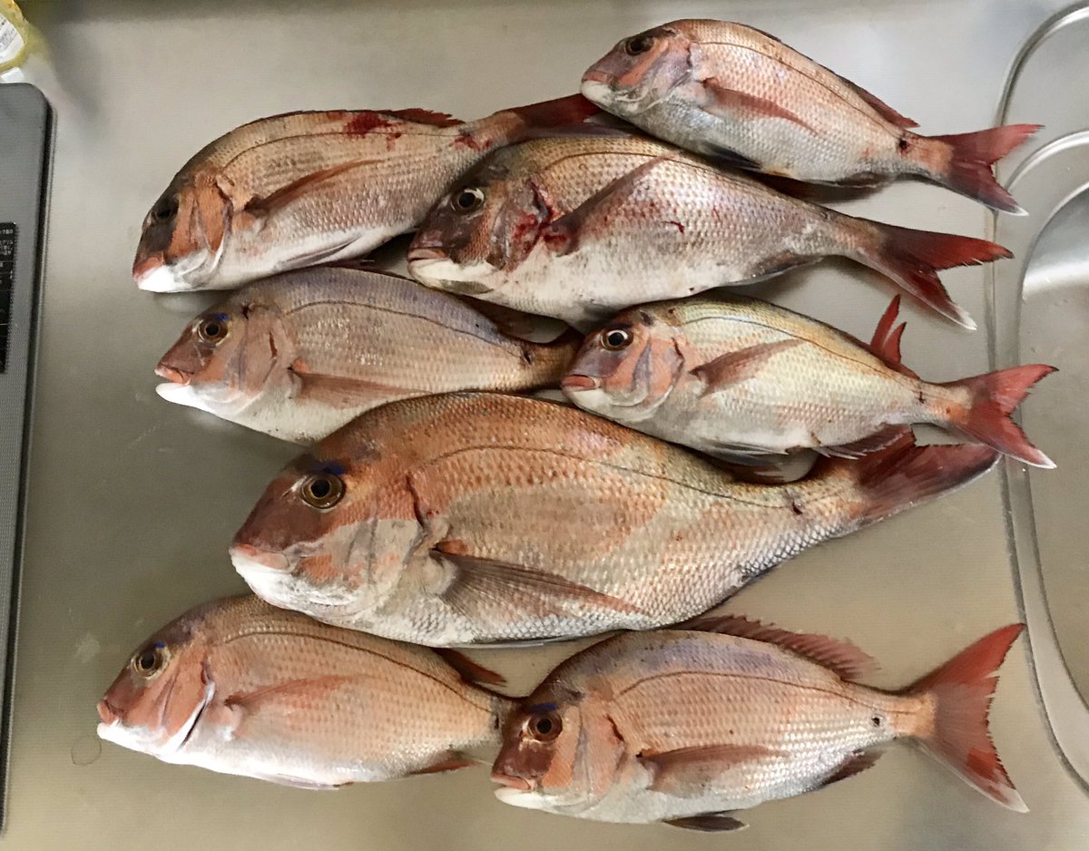 鯛の天ぷら 鯛の天ぷら