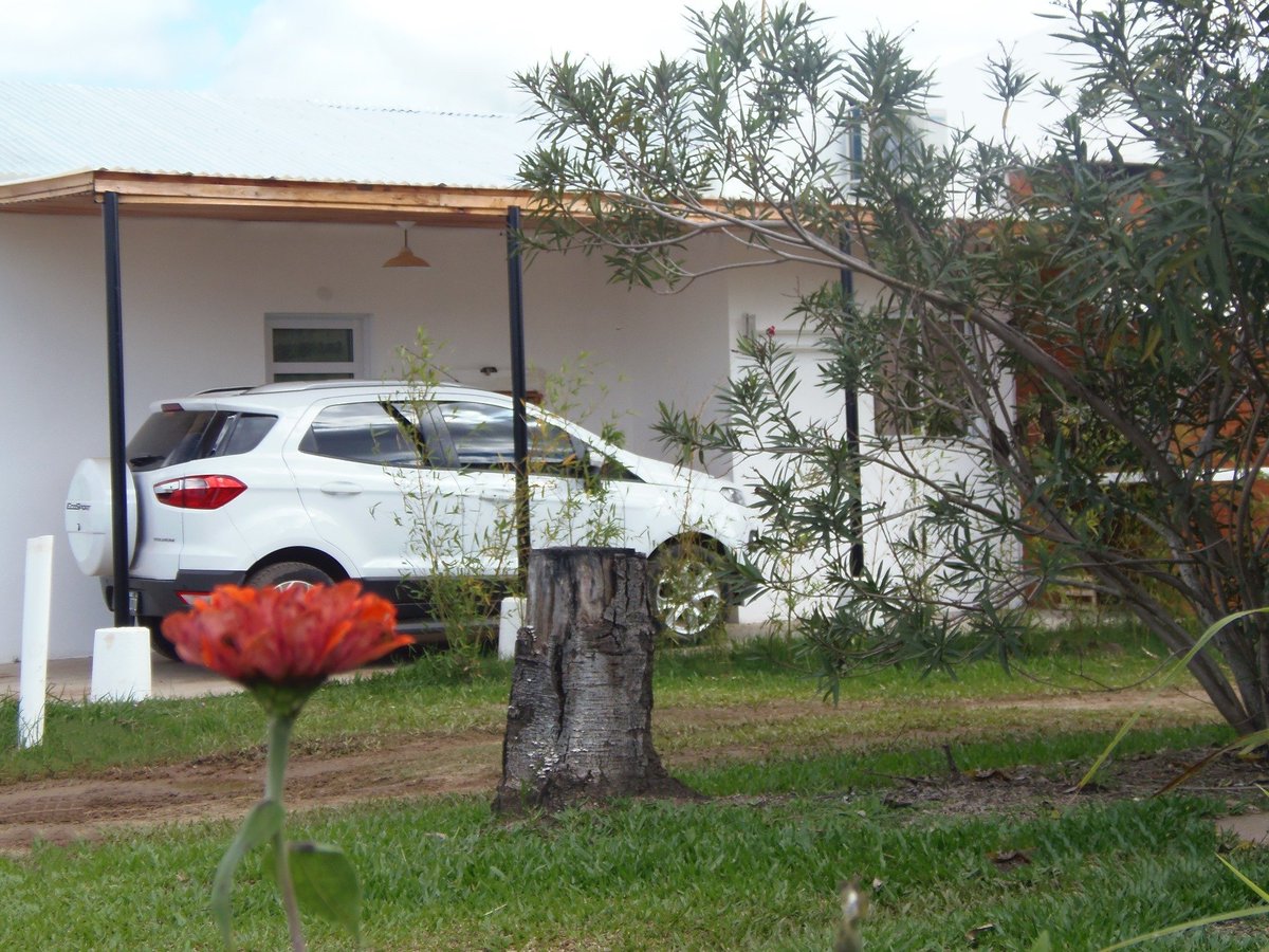 TERMAS_CHAJARI's tweet photo. Un poquito de LAS CAÑITAS BUNGALOWS🌱🌱
Se destacan por su ubicación dentro #termaschajari a solo metros de Piscinas💦. 

Termas Chajarí

Reservas⬇️⬇️
whatsapp +5️⃣4️⃣ 3️⃣4️⃣5️⃣6️⃣ 4️⃣5️⃣9️⃣2️⃣7️⃣8️⃣
https://t.co/zkuLd5F4Gt https://t.co/nM5VaVZ3jr