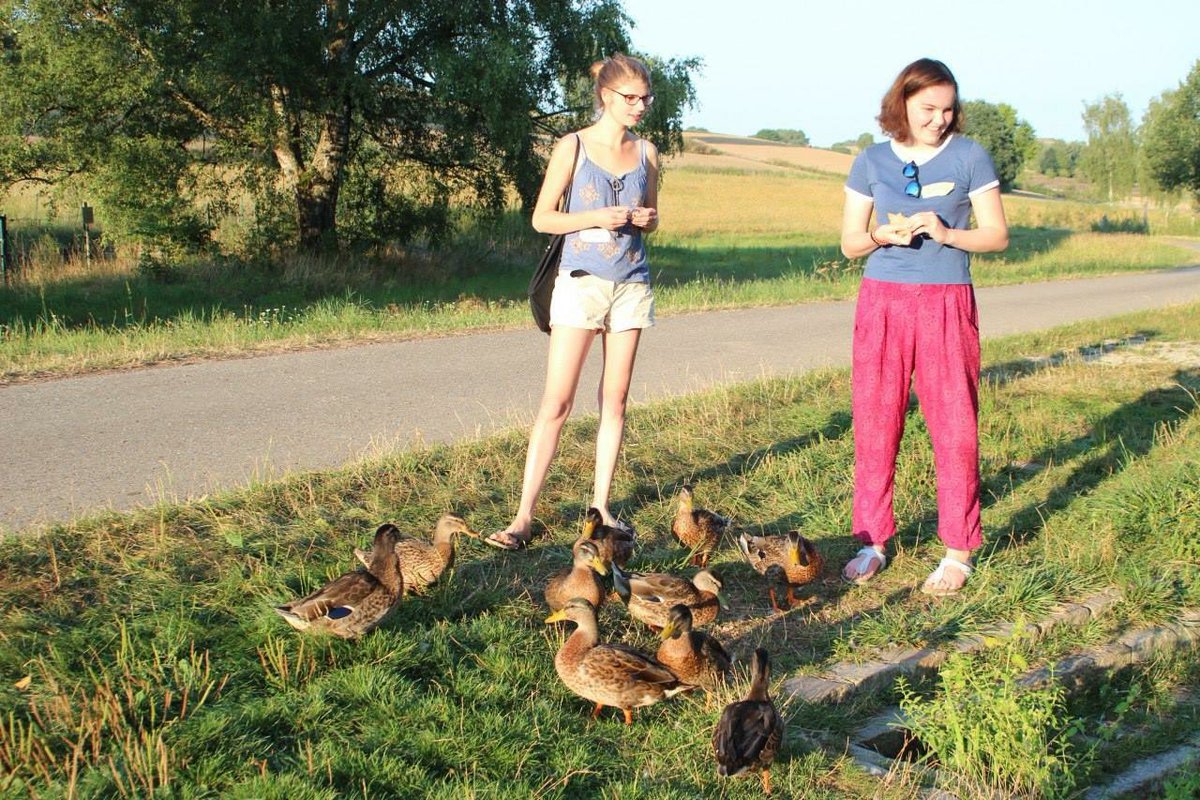 Grüne Jugend Bayern looking at Enten

Quelle: Facebook-Seite von Grüne Jugend Bayern