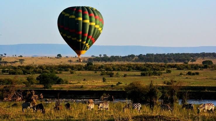 It's back to work day...Have a happy monday folks....#BookYourSafariToday

#hotairballoonsafariserengeti#adventuresaloft#serengeti#tarangire#migration#greatmigrationinserengeti#lion#simba#marariver#masaimara#hotairballoon#champagneonthesky#tarangireballooncamp