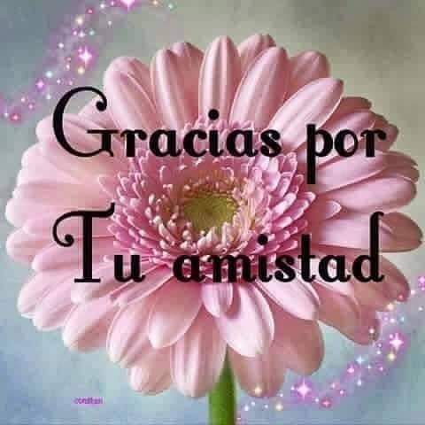 Patrici58275001's tweet photo. * #Graciasss😘🙃
Por tu #amistaddd ... * 🌷🌷🌷🌷🌷 https://t.co/2NkbeCscCH