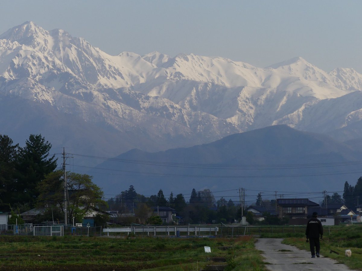 広域農道 No Twitter こんな景色の中でワンコと早朝散歩 いい 北アルプス 水鏡 リフレクション 信州水面鏡図鑑 安曇野 池田町 大町 有明山 蓮華岳 水田