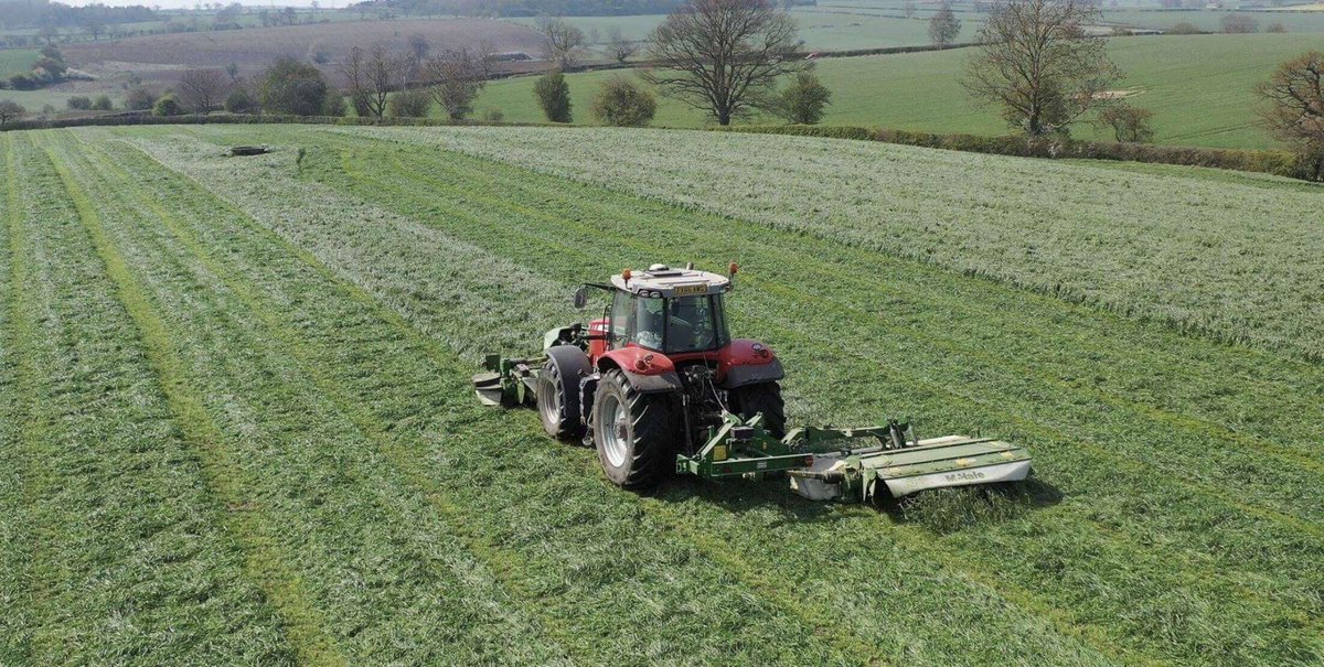 McHaleOfficial's tweet image. McHale May Mowing! 
With silage season well underway check out these photos from the last number of weeks of McHale Pro Glide mowers in action! 
If you have photos of your McHale mower then please do send them in!
#McHaleMayMowing #Mowers #ProGlide #Agriculture #Silage2019