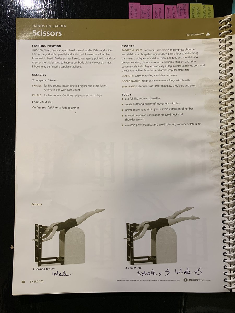 WhortonTraining's tweet photo. I think STOTT change the smallest things to try and catch you out... 
Scissors Prone on Arc Barrel &amp; Spine Corrector: Inhale for 5 Counts, Exhale for 5 Counts. 
Scissors Hands on Ladder on Ladder Barrel: Inhale Prepare, Exhale for 5 Counts, Inhale for 5 Counts #STOTT #Pilates https://t.co/NTDhjD1KtZ