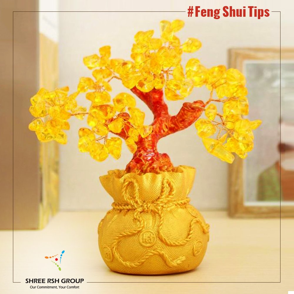 #FengShuiTip | Place a Citrine gem tree in the upper left of your home or office for wealth and prosperity.

#ShreeRSHGroup #RSHSignature #FengShui #Wealth #Prosperity #FlatsInSouthKolkata #LuxuryApartments #Gym #Workout #Fitness #HousingComplex #Luxury #ClubHouse #SafetySecurity