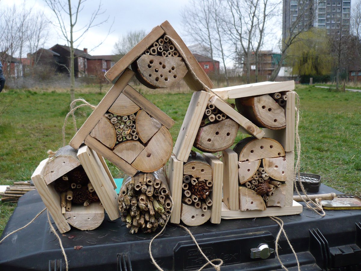 GHIA_VNN's tweet photo. Ideas for this #MayBankHoliday? #bughotels #seedplanting #workshops #performances & #participatoryart @McrMuseum #HFStudioResidency #FutureHeritage 3rdFloor #FamilyFunDay 6May 11am-4pm https://t.co/RmnZjdzSCE π₯³π₯³ https://t.co/qRz2a7ilVZ