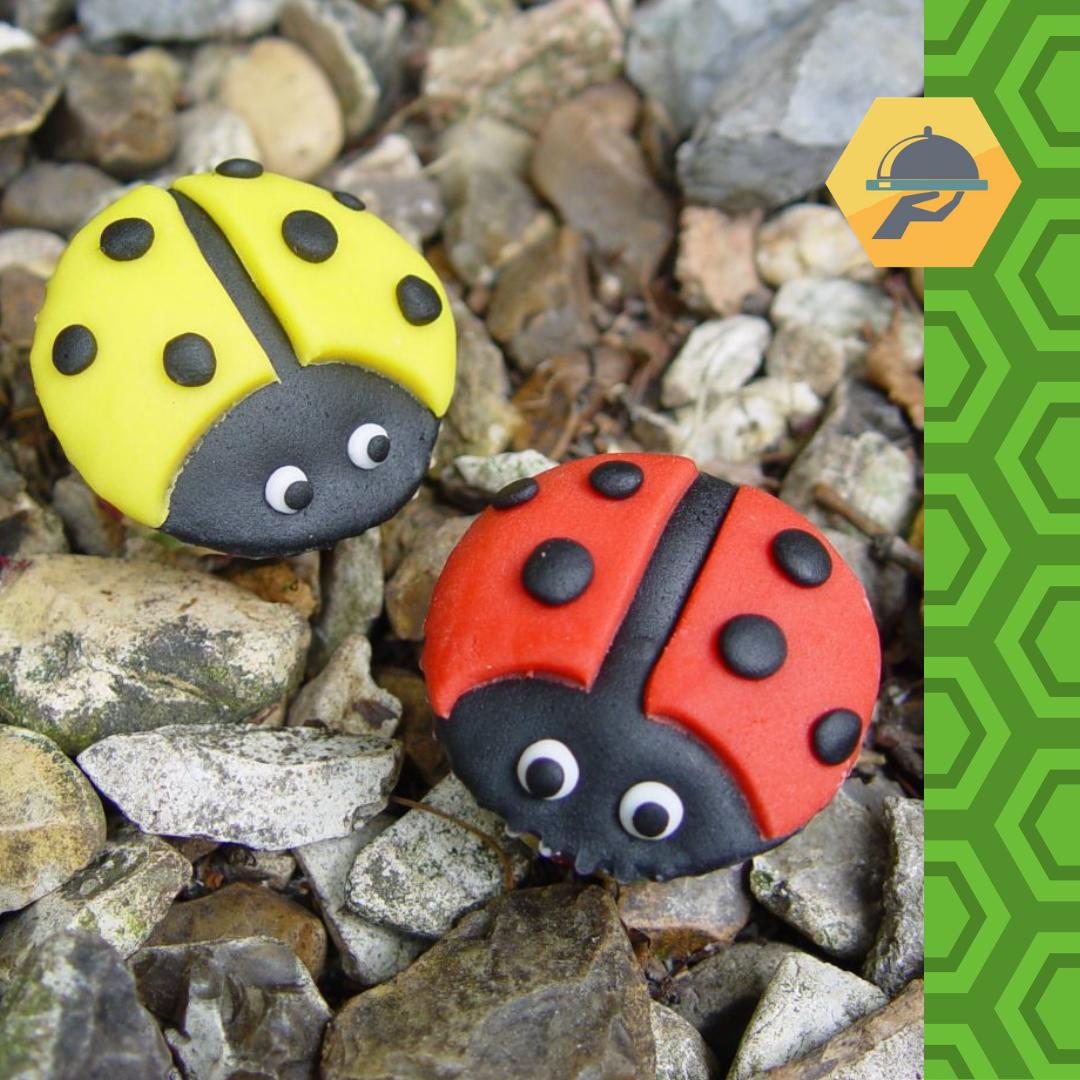 Cakes for all occasions!🍰 Check out Irina's Cakes on BeeBooked for an array of unique cake designs!🐝 #baking #cakes #bristol