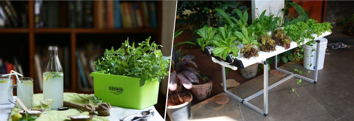 karol samah 2 (@balsamrere) on Twitter photo 