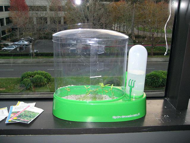 karol samah 2 (@balsamrere) on Twitter photo 